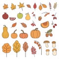 Autumn harvest elements set