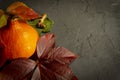 Autumn harvest side border over grunge background Royalty Free Stock Photo