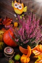 Autumn harvest still life Royalty Free Stock Photo