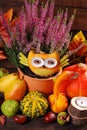 Autumn harvest still life Royalty Free Stock Photo