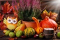 Autumn harvest still life Royalty Free Stock Photo