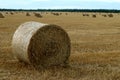 Autumn harvest: straw collected in a large round bale against the background of the same bales and the blue sky, close-up, space Royalty Free Stock Photo