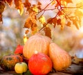 Autumn harvest on table, thanksgiving, seasonal organic fruit and vegetable