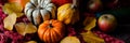 Autumn, harvest time. Composition with ripe organic pumpkins, apples, red scarf and yellow leaves. Basket on background. Low key, Royalty Free Stock Photo