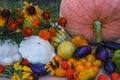 Autumn harvest Royalty Free Stock Photo