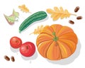 Autumn Harvest Vector Concept in Flat Design Royalty Free Stock Photo