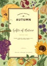 Autumn harvest. Vector vintage card.