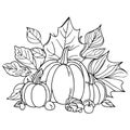 Autumn harvest vegetable pumpkin Autumn Fall season coloring illustration pages, Maple ornate leaves in black isolated