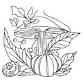 Autumn harvest vegetable pumpkin, mushroom, flowers Autumn Fall season coloring illustration pages