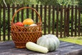 Autumn harvest vegetables in a basket on a wooden table. Kitchen garden in countryside. DIY cultivation concept Royalty Free Stock Photo