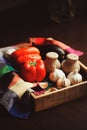 Autumn harvest vegetables, home growth onion and garlic picked up from farm in rustic tray Royalty Free Stock Photo