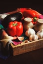 Autumn harvest vegetables, home growth onion and garlic picked up from farm in rustic tray Royalty Free Stock Photo