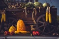 Autumn Harvest. Cart Full With Freshly Picked Vegetables