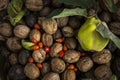 Autumn harvest - walnuts, rose hips and quinces. Closeup . Autumn composition