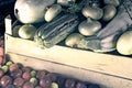 Autumn harvest: zucchini, yellow and red plums, onions Royalty Free Stock Photo