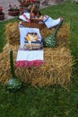 Autumn harvesting agriculture scenery with pumpkins, red peppers, autumn vegetables, bale of hay