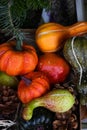 Autumn harvesting agriculture scenery with pumpkins, red peppers, autumn vegetables, bale of hay