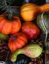 Autumn harvesting agriculture scenery with pumpkins, red peppers, autumn vegetables, bale of hay