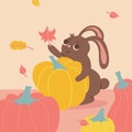 Autumn harvesting vegetables concept for poster. Happy cute rabbit hugs huge pumpkin. Happy pumpkin time. Vector flat