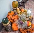 Autumn harvests Royalty Free Stock Photo