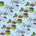 Autumn hawthorn branch with fruits and leaves, graphic pattern, botanical sketch, seamless pattern on a blue background