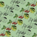 Autumn hawthorn branch with fruits and leaves, graphic pattern, botanical sketch, seamless pattern on a green background