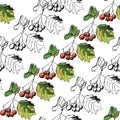 Autumn hawthorn branch with fruits and leaves, graphic pattern, botanical sketch, seamless pattern