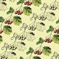 Autumn hawthorn branch with fruits and leaves, graphic pattern, botanical sketch, seamless pattern on a yellow background