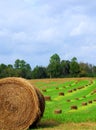 Autumn hay field Royalty Free Stock Photo