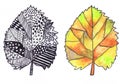 Autumn hazel leaf. Children`s drawing. Drawing and painting