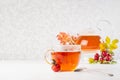 Autumn healthy rose hip tea in transparent teapot with cup, spoon, dog rose branch on bright cozy white wood table with copy space Royalty Free Stock Photo