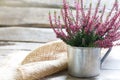 Autumn Heather In Cup On Wooden Boards Background
