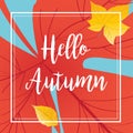 Hello Autumn Holiday trendy design Falling red yellow leaves fall season sales sign template poster Royalty Free Stock Photo