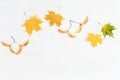 Autumn herbarium, yellow maple leaves and seeds on wood surface. Autumnal frame on wooden texture