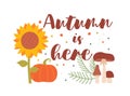 Autumn here concept Royalty Free Stock Photo