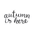 Autumn is here handwritten lettering quote