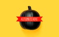Autumn is here message with a black pumpkin Royalty Free Stock Photo