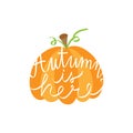 Autumn is here pumpkin vector illustration icon