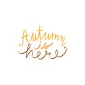 Autumn is here vector illustration icon writing