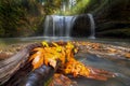 Autumn at Hidden Falls