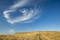 Autumn highland meadow field harvest season scenic view background landscape picture with vivid blue sky