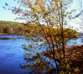 Autumn Highlights On The St. Croix River - Minnesota Royalty Free Stock Photo