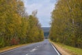 Autumn highway road through a birch grove Royalty Free Stock Photo