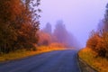Autumn highway road fog yellow trees. Autumn highway road fog. Royalty Free Stock Photo