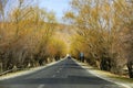 Autumn highway, yellow trees, yellow mountains, beautiful scenery Royalty Free Stock Photo