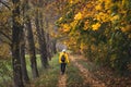 Woman hiker walking along a trail in alley at fall season Royalty Free Stock Photo