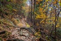 Autumn Hike in the Woods