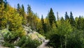 Autumn Hiking Trail