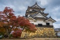 Hikone Castle autumn