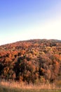 Autumn hill Royalty Free Stock Photo